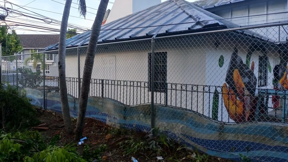 Residential Chain Link Fence